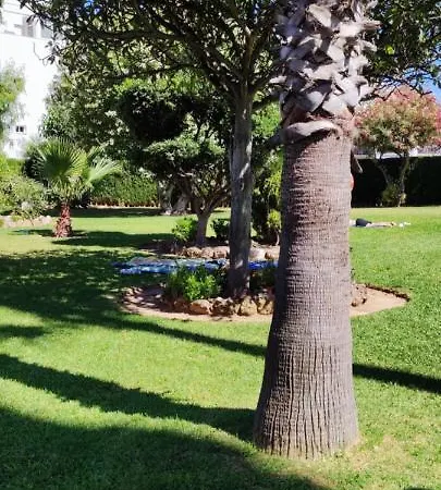 Delta Del Sur Apartment Benalmadena